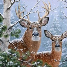 Схема вышивки «№2470754»