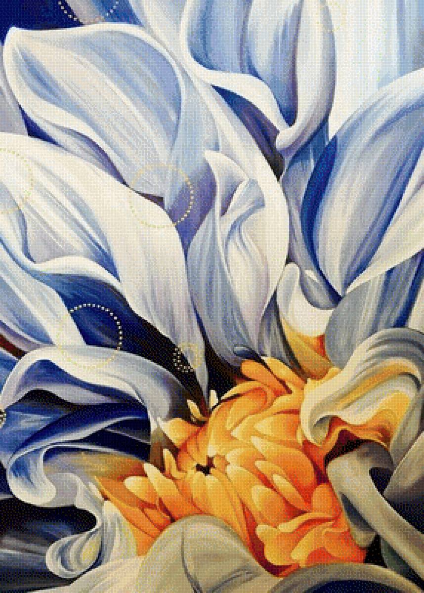 Астра - цветы, растения - предпросмотр