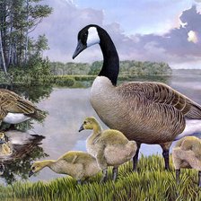 Схема вышивки «гусиное семейство»