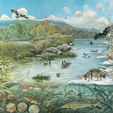 Схема вышивки «фауна»