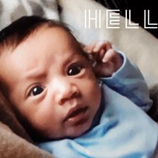 Схема вышивки «Leo»