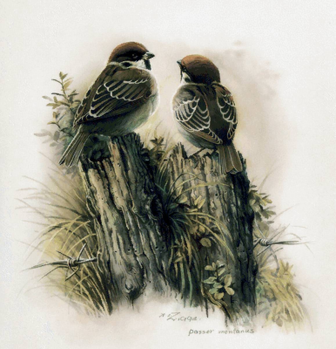 №2471155 - предпросмотр