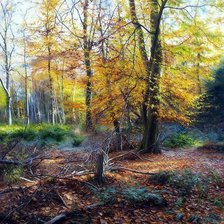 Схема вышивки «№2471173»