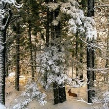 Схема вышивки «№2471265»