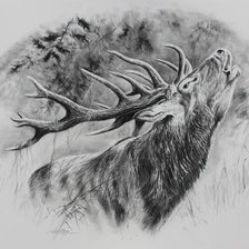 Схема вышивки «№2471506»