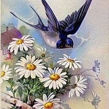 Схема вышивки «с весною»