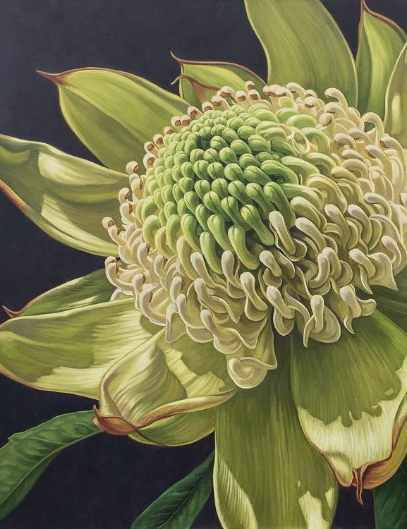 Цветок - цветок, растения - оригинал