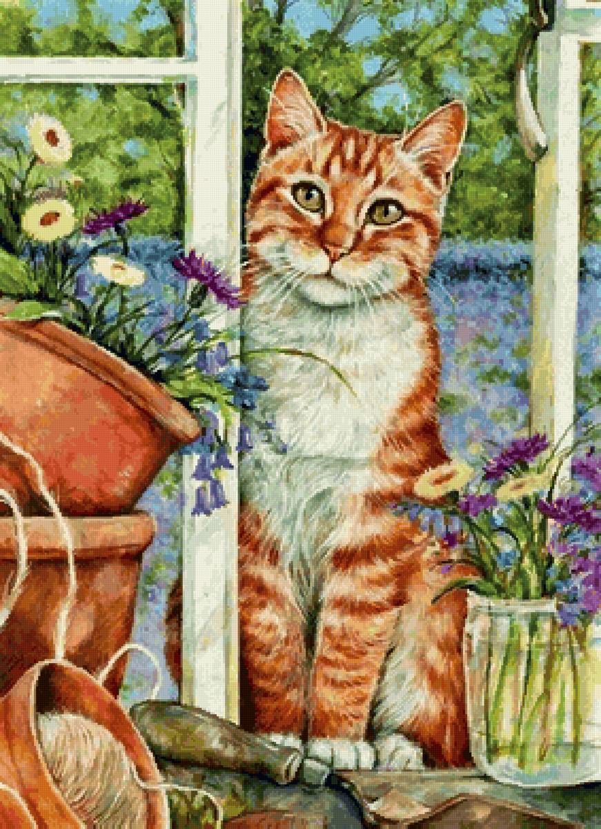 Кот - забавные котики - предпросмотр