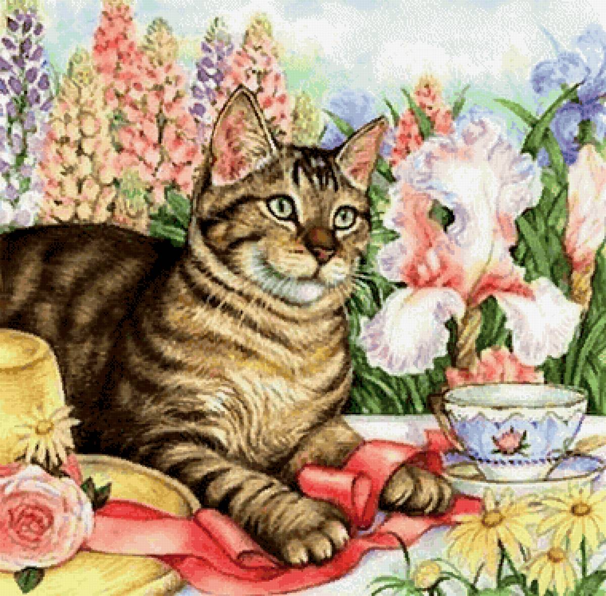 Любимый кот - забавные котики - предпросмотр