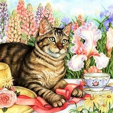 Любимый кот