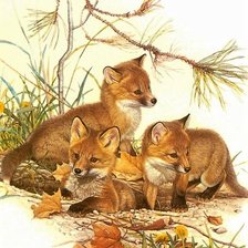 Схема вышивки «Лисята»