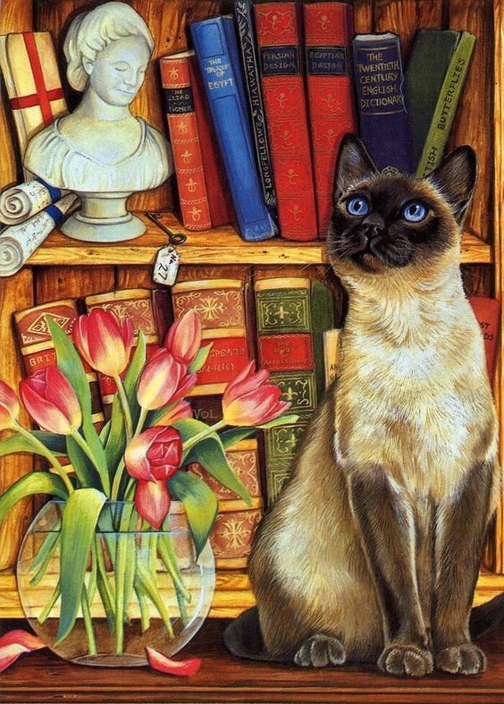 Сиамский кот - забавные котики - оригинал