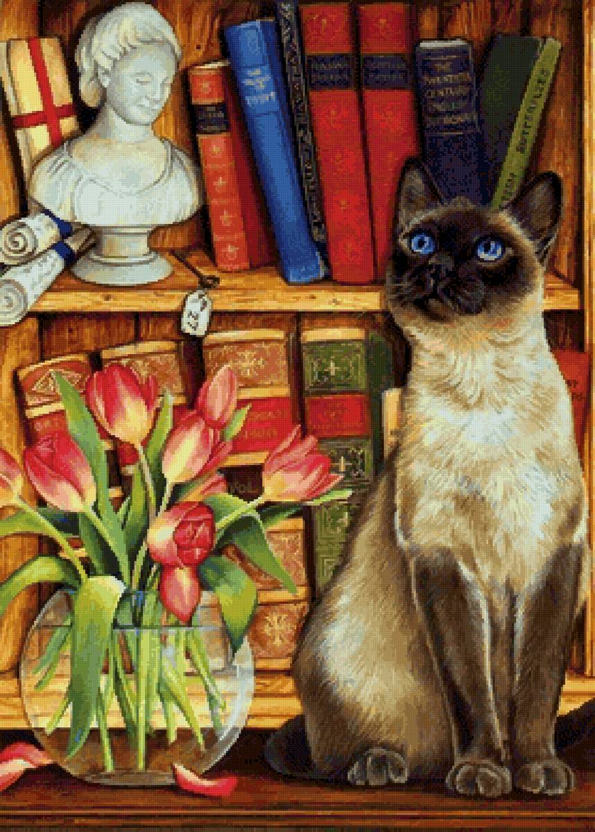 Сиамский кот - забавные котики - предпросмотр