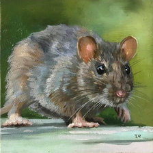 Схема вышивки «крыска»