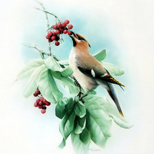 Схема вышивки «№2472035»