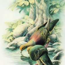 Схема вышивки «№2472037»