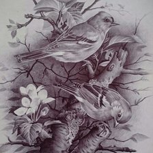 Схема вышивки «птицы»