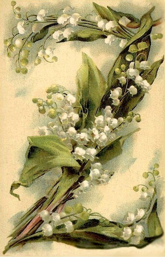 за наших - весна цветы - оригинал