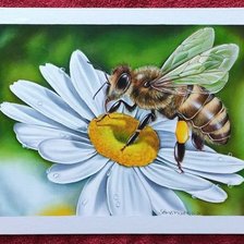 Схема вышивки «№2472140»