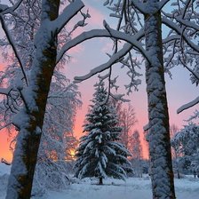 Схема вышивки «№2472144»