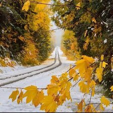 Схема вышивки «Осенний снег»