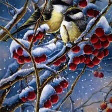 Схема вышивки «Синички»