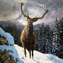 Схема вышивки «Олень»