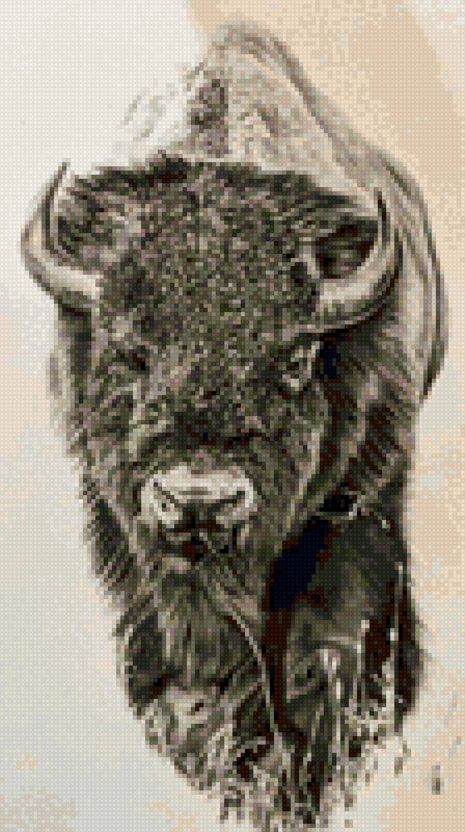 Бизон - бизон - предпросмотр