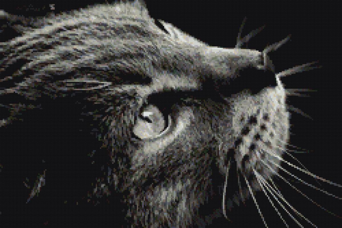 №2472440 - предпросмотр