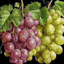 Схема вышивки «виноград»