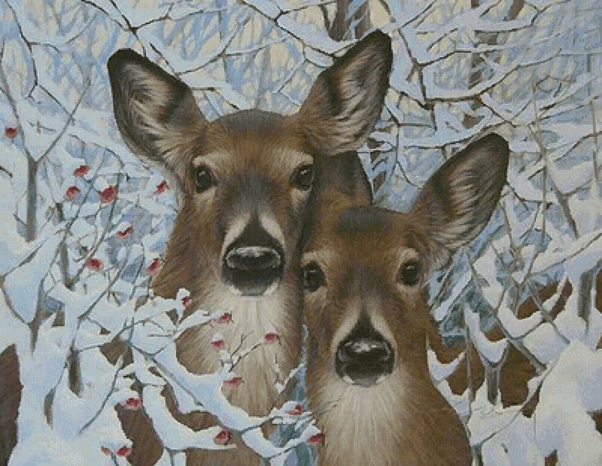 №2473677 - предпросмотр