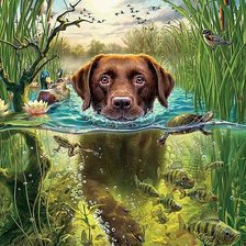 Схема вышивки «В пруду»