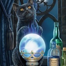 Схема вышивки «магический кот»