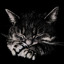 Схема вышивки «Кот»