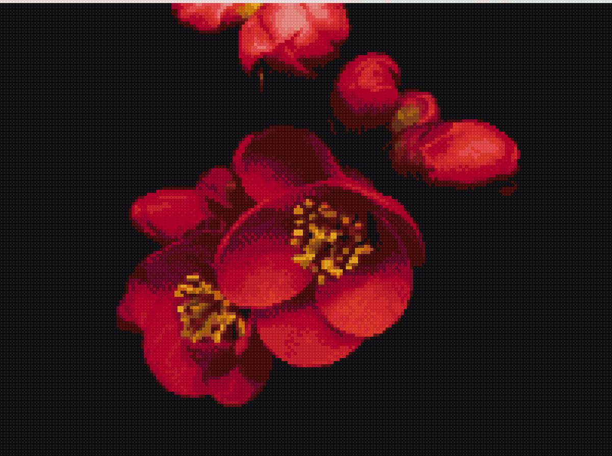 Сакура - предпросмотр