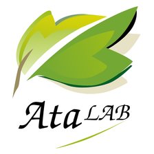 Схема вышивки «ata lab»