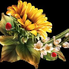 Схема вышивки «№2475006»