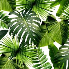 Схема вышивки «Подушка»