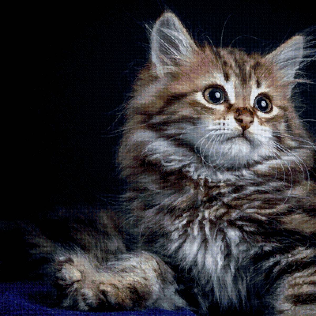 Котенок - котенок, кошка - предпросмотр