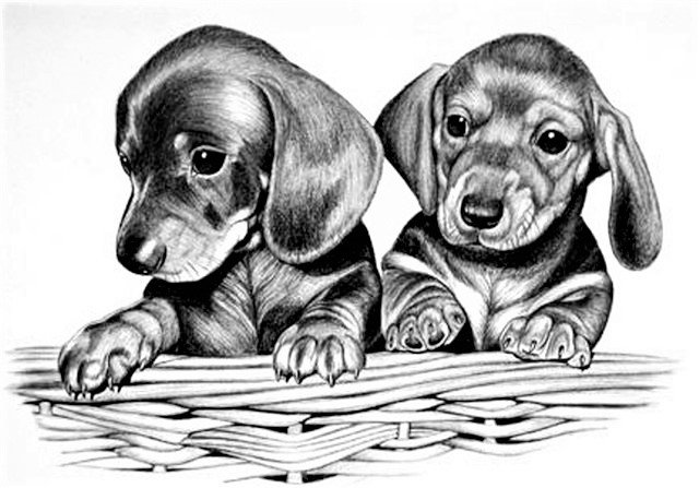 №2475349 - оригинал