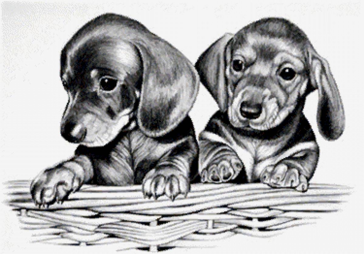 №2475349 - предпросмотр