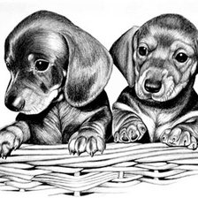 Схема вышивки «№2475349»