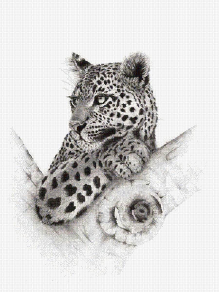 №2475367 - предпросмотр