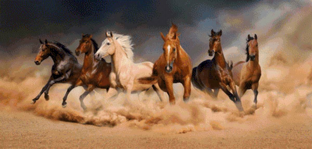 Horses - horse, horses - предпросмотр