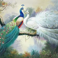 Схема вышивки «Павлины»