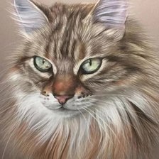 Схема вышивки «Котик»