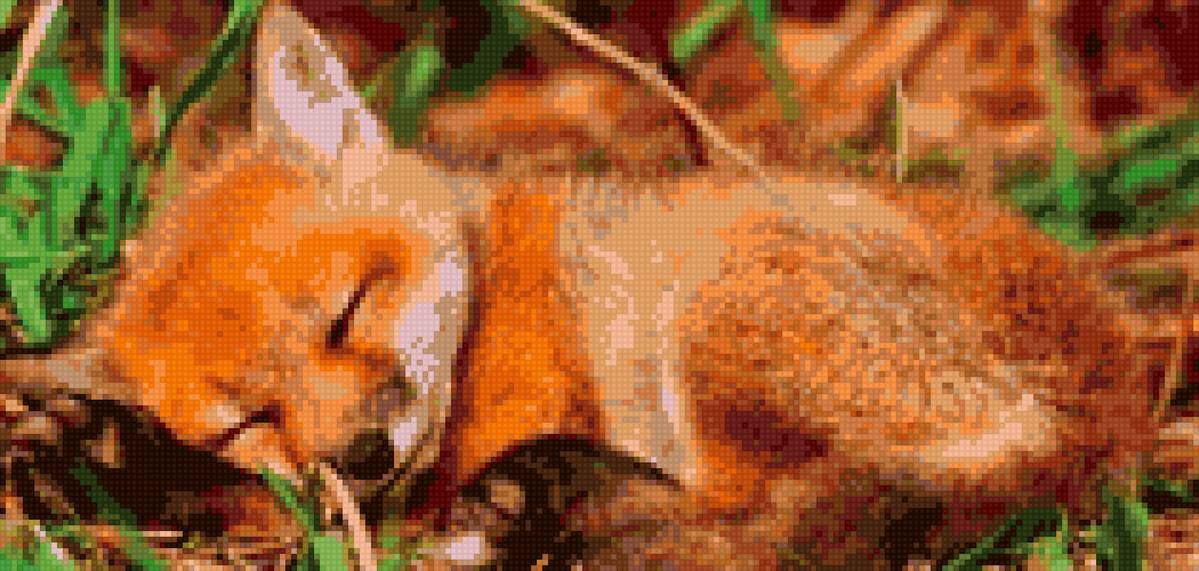 Лисенок - лисенок - предпросмотр