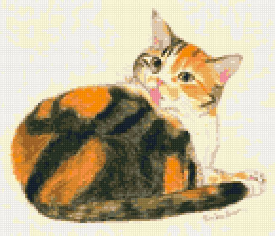 Кот - кот - предпросмотр