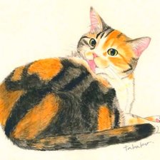 Схема вышивки «Кот»