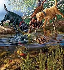 Схема вышивки «Игра у пруда»